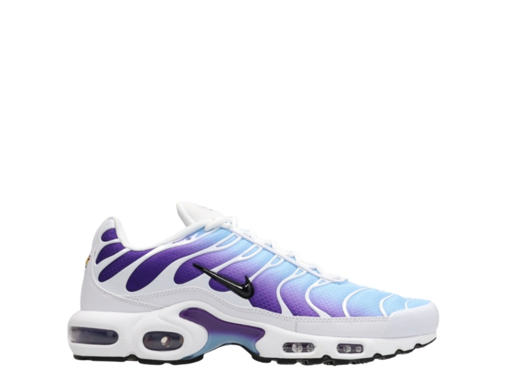 Nike Air Max Plus TN – Purple / Blue