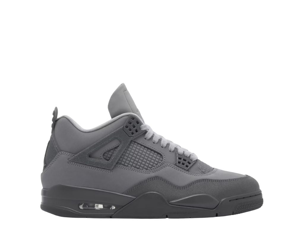 Air Jordan 4 Wet cement Paris SE