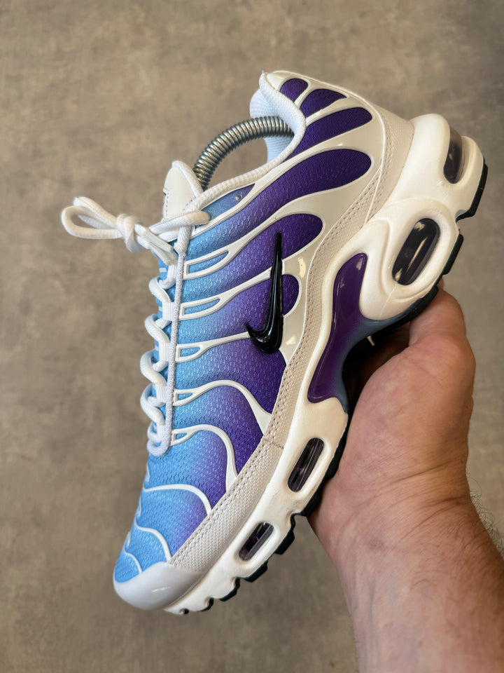 Nike Air Max Plus TN – Purple / Blue