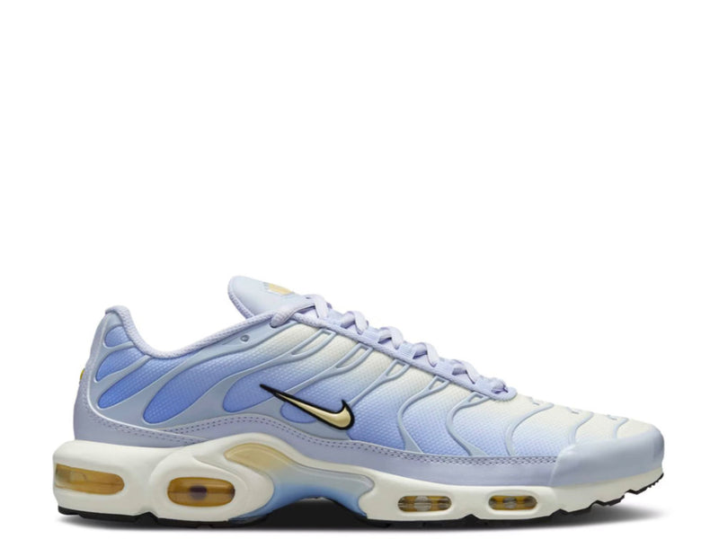 Nike Air Max TN Plus Daybreak Blue