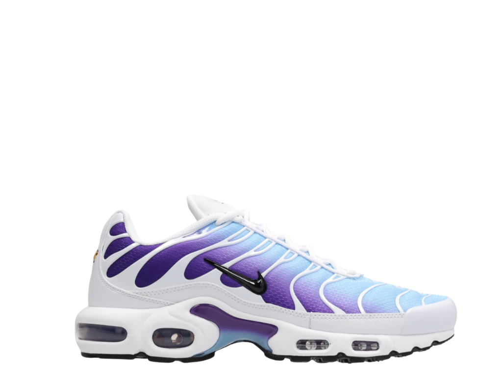 NIKE AIR MAX TN PURPLE/BLUE